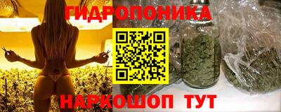 индика Коммунар
