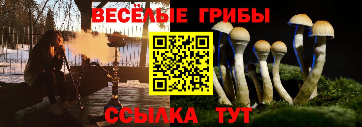 Галлюциногенные грибы GOLDEN TEACHER Карпинск