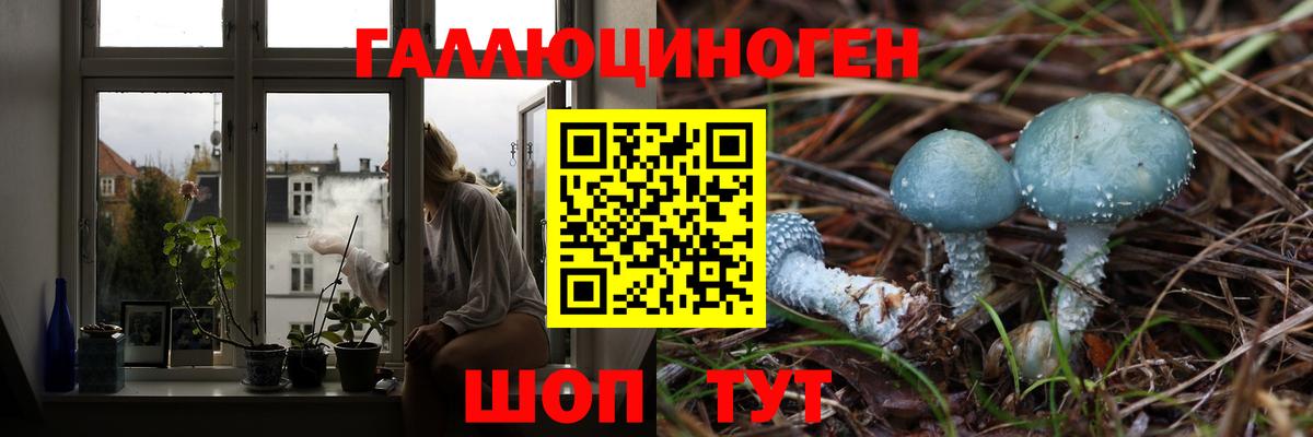 Карпинск  Галлюциногенные грибы мицелий  Псилоцибиновые грибы мицелий  Вход с VPN 